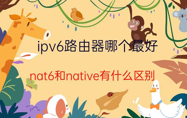 ipv6路由器哪个最好 nat6和native有什么区别？